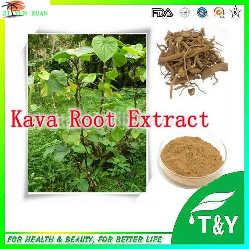 Natural Piper methysticum Extract/Kava Kava Root Extract/Kava root