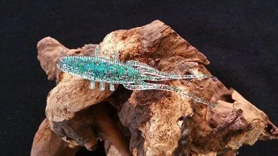 crazy fish soft plastic