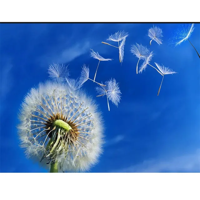 Full-drill-diamond-painting-dandelion-picture-5D-quare-DIY-mosaic-diamond-embroidery-wall-painting-home-decor.jpg_640x640