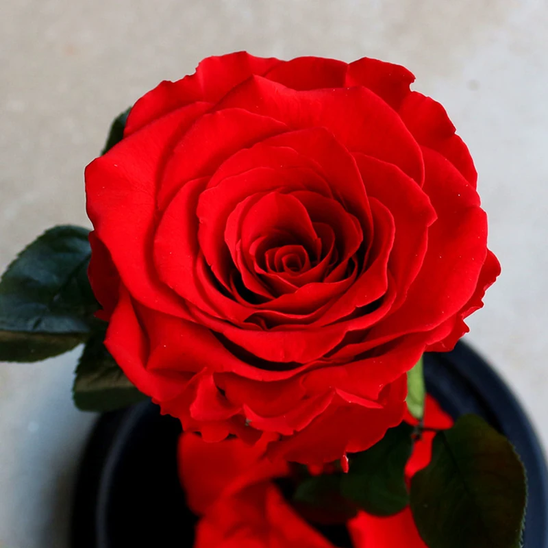 239781_no-logo_239781-4-03