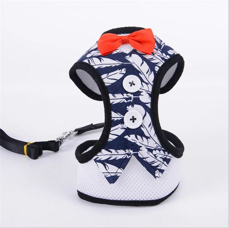 leash for dog (6)