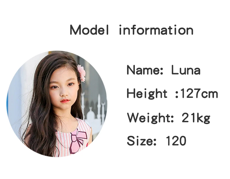 Model 