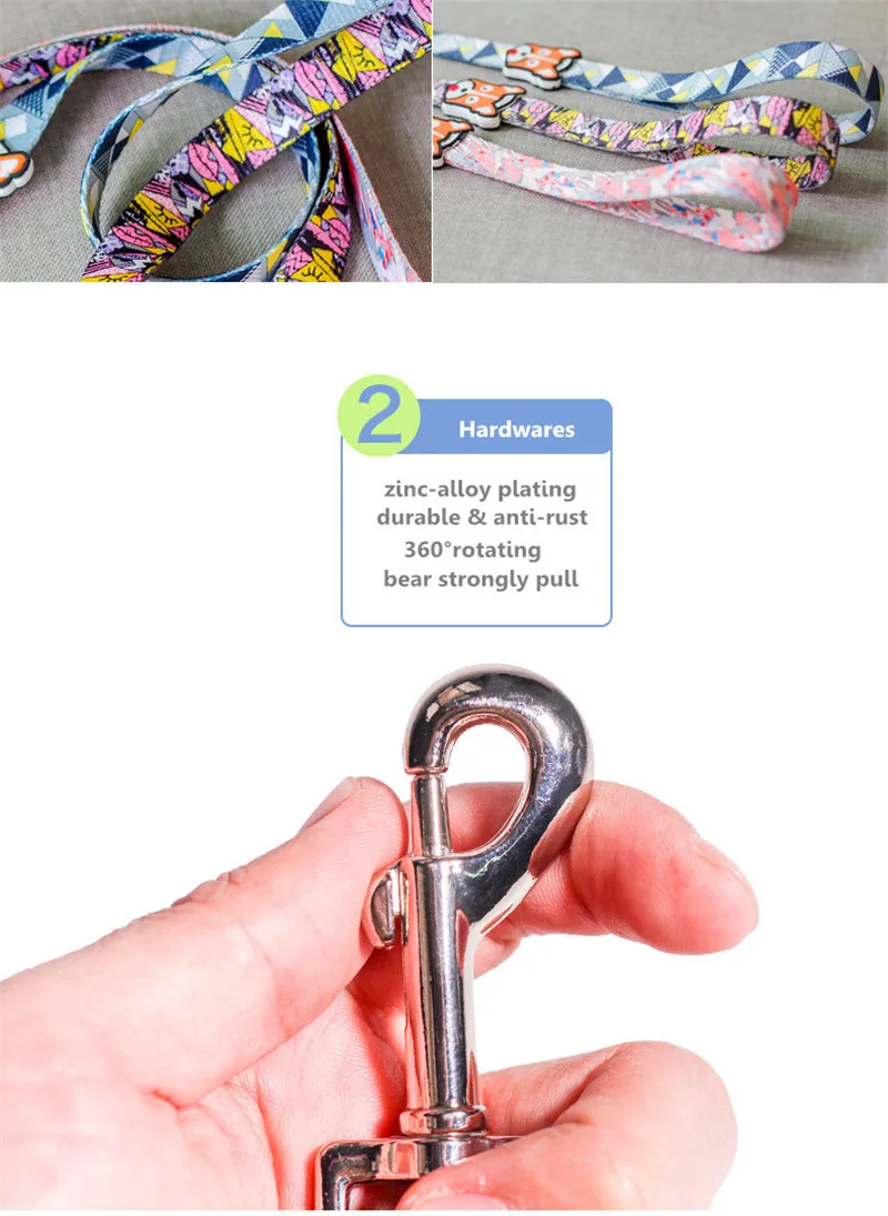 Dog Collars  (18)