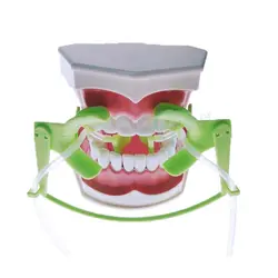 1 компл.. зубные ортодонтические щеки втягиватель с живым всасывания функция рот открывалка зеленый цвет