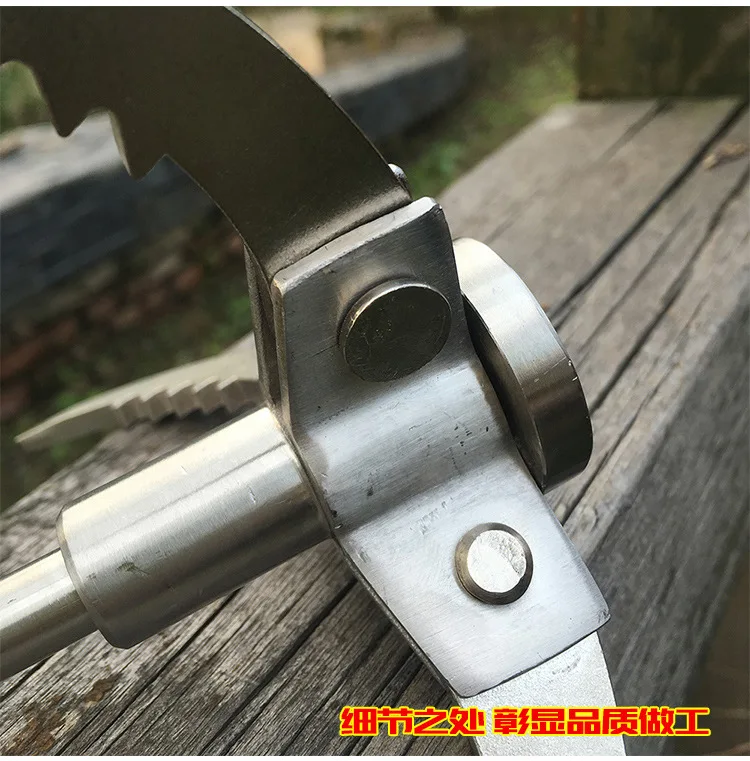 3553246900_2102329459