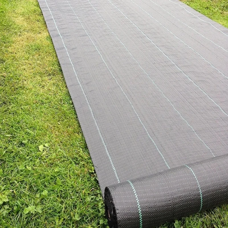 Пленка от сорняков. Пленка от сорняков. Агротекстиль 80. Агротекс 60 черный клубника. Пленка от сорняков.