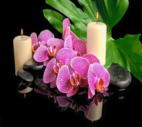 shof_4cf3019ef849248