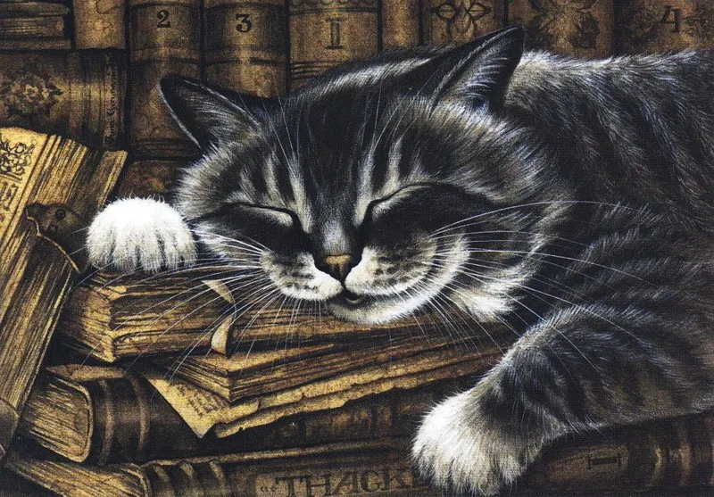 Классическая Настенная Наклейка с изображением спящих кошек холст декоративные