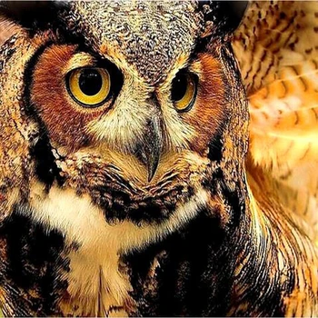 

H2699 YIKEE Owl diamond painting,large diy diamond painting,diamond painting full square new arrival