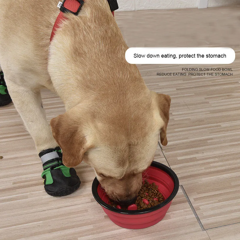 Dog Bowl Slow Feeder (2)