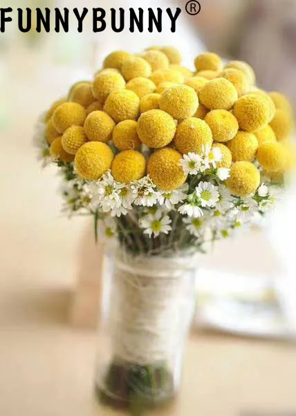 FUNNYBUNNY 5 шт. сушеные Craspedia желтый Billy шарики сушеные цветы для Свадебный букет Декоративный Рождественский венок DIY
