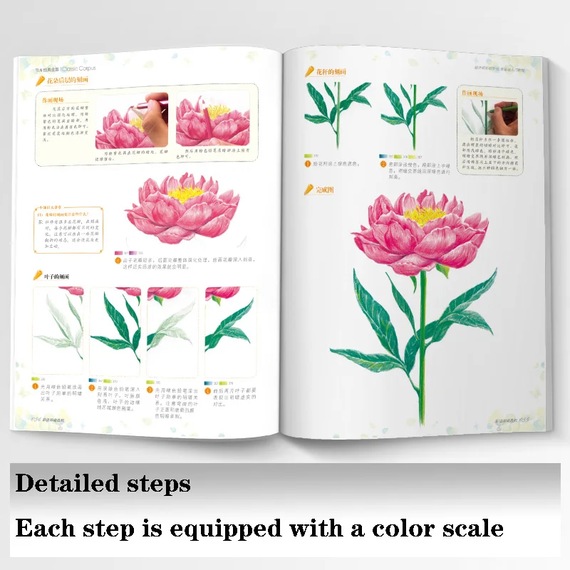 Color Pencil Drawing Zero Basis Entry Hand-Painted Illustration Animal And Plant Vegetable Beginner Child Adult Coloring Book Color Pencil Drawing Zero Basis Entry Hand-Painted Illustration Animal And Plant Vegetable Beginner Child Adult Coloring Book