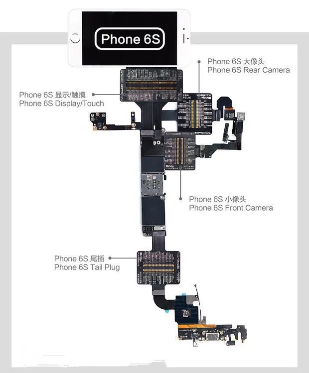 6S