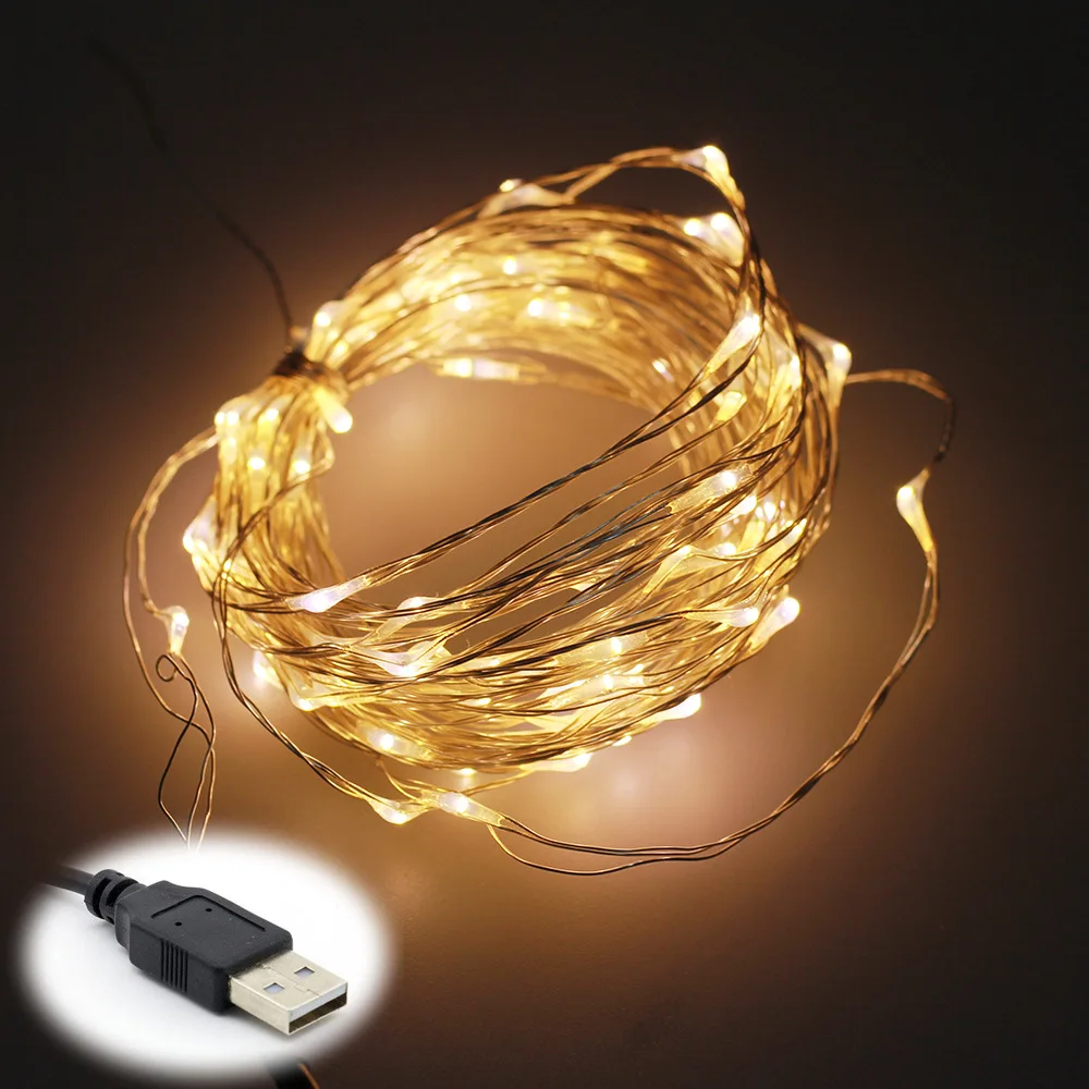 5V 10M 100 LEDs Waterproof USB LED Copper Wire String Lights for