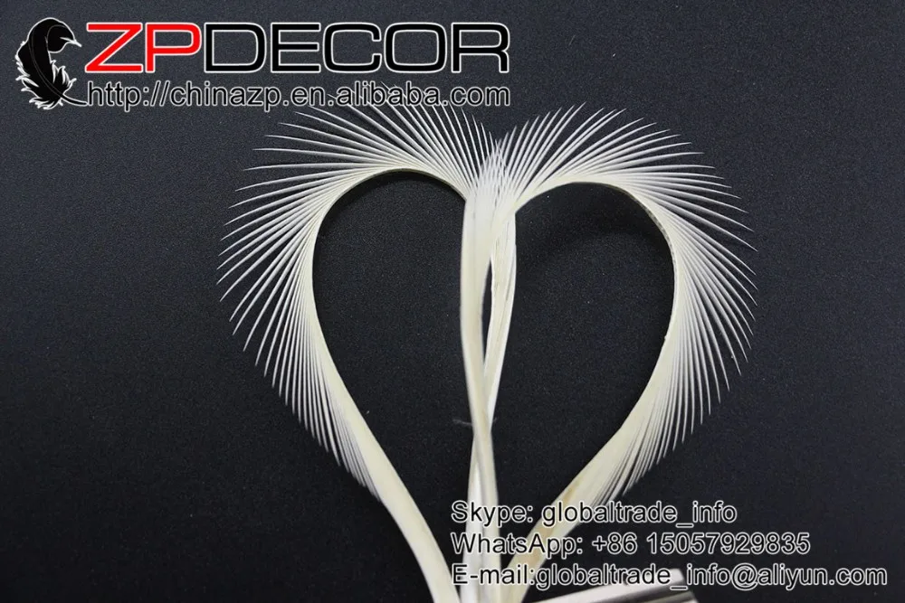 Dyed white Goose Biot Feather (16)