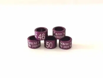 

Australia high quality silicone bracelet/cartoon bird slap band