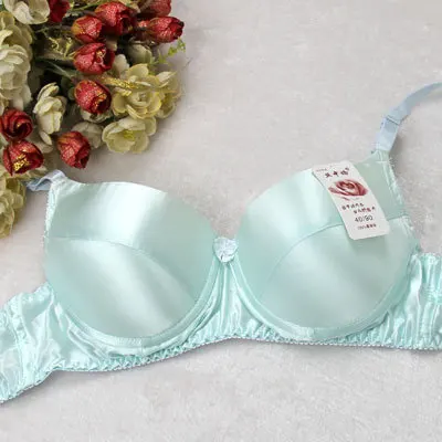 silk net bra