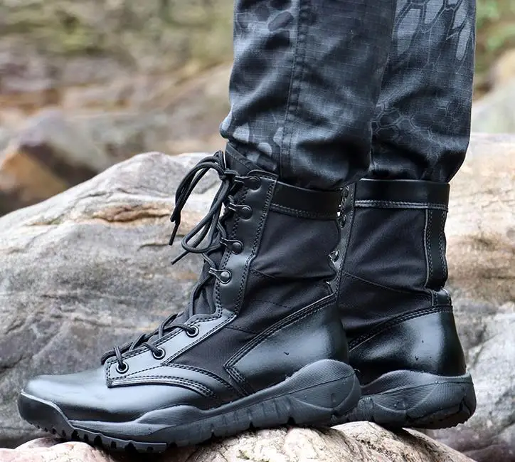 36020181008201848247