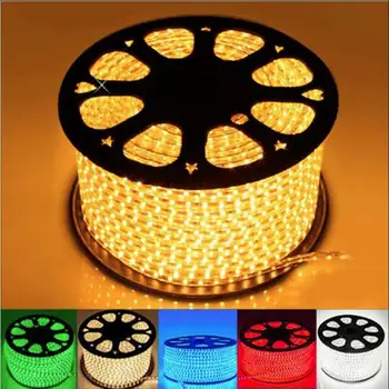 

110V 220V Flexible LED Strip Light 5050 60leds/M Waterproof IP68 Indoor Outdoor Decorative Rope Light+Accessories+Plug RGB White