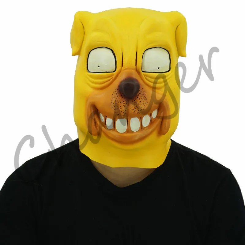 19_