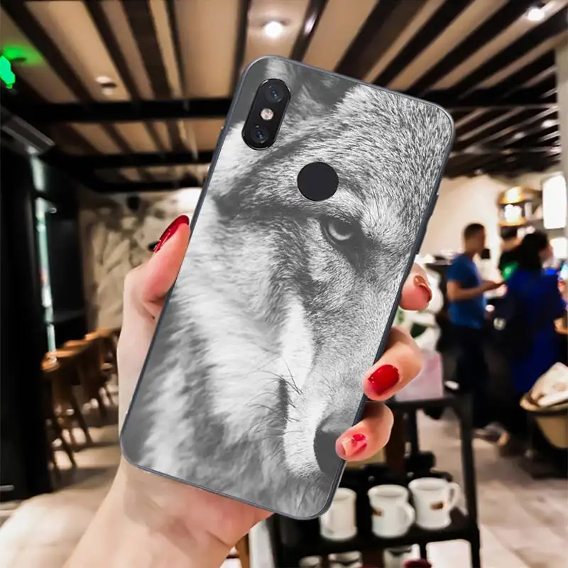 angry Animal wolf Face Pattern