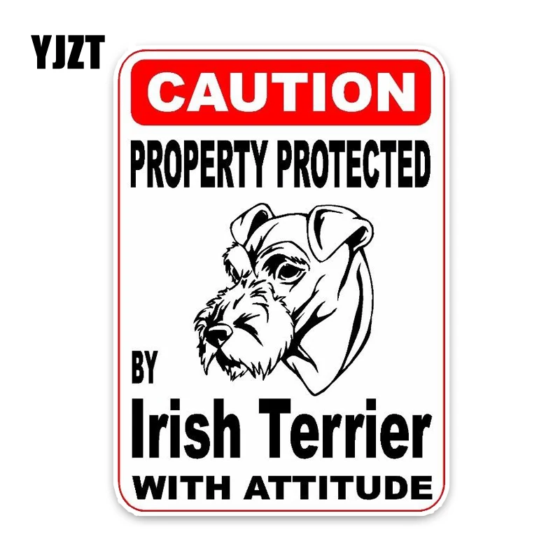 

YJZT 15*11.4CM Property Protected By Irish Terrier Dog Puppy Pet Decoration Fashion Car Sticker C1-4739