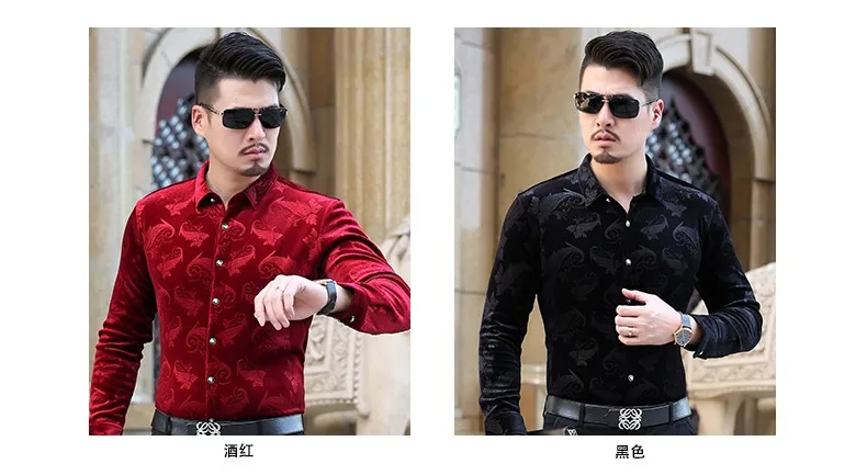 Ã<ALIMT >&copy;</ALIMT>Â¡Â¶Ã<ALIMT >&copy;</ALIMT>ÂÂ¨2