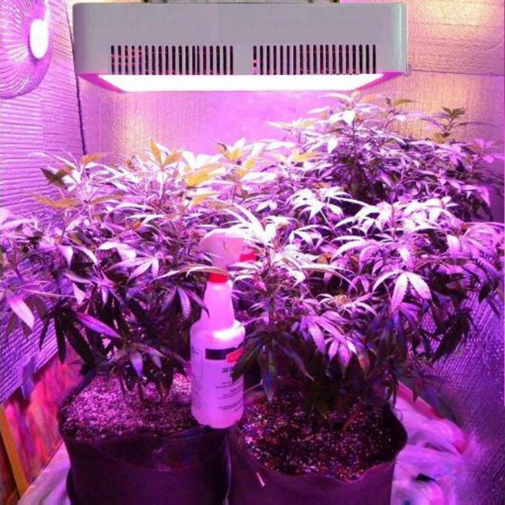 

300/600W LED USB Herb Grow Light Bulb led grow light phyto lamp with Red Blue UV IR White Spectrum Plant Grows Lamp for Plants