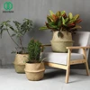 Garden Supplies