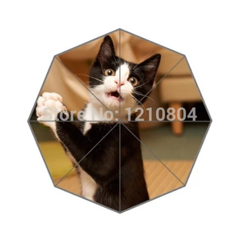 

Fashion Design Umbrella Custom Funny Black And White Cat Umbrella For Man And Women Drop Shipping Hot Sale UMN-406