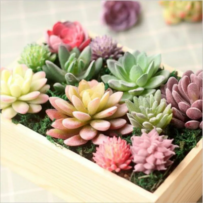 

Garden Home Decoration The Simulation Of Succulent Plants Home Jewlery HOT