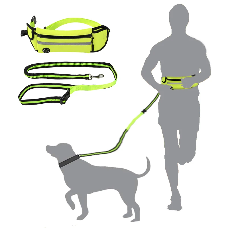 dog waist belt