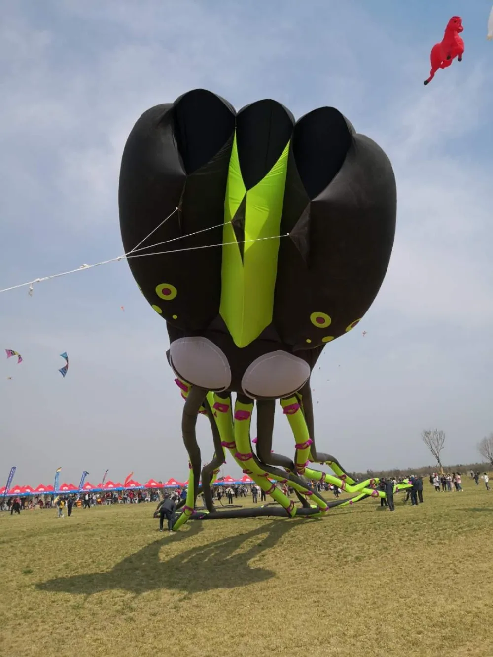 

single line kite flying cerf volant vlieger kites for adults cometas para adultos cometas infantiles windsock large kite octopus