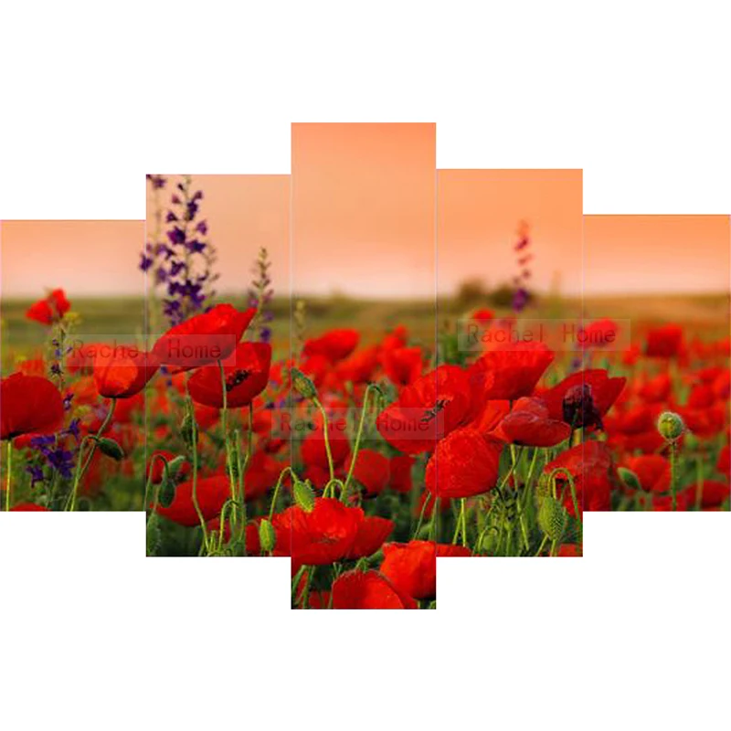 

Diamond Embroidery Diy Diamond Painting Cross Stitch Kits Diamond Mosaic Flower Five paintings Full Square Diamond Embroidery