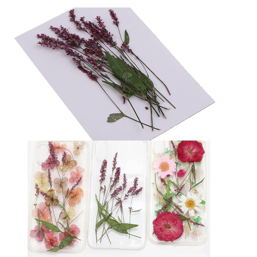 12Pcs Real Pressed Natural Dried Flowers DIY Art Craft Scrapbook Decorations