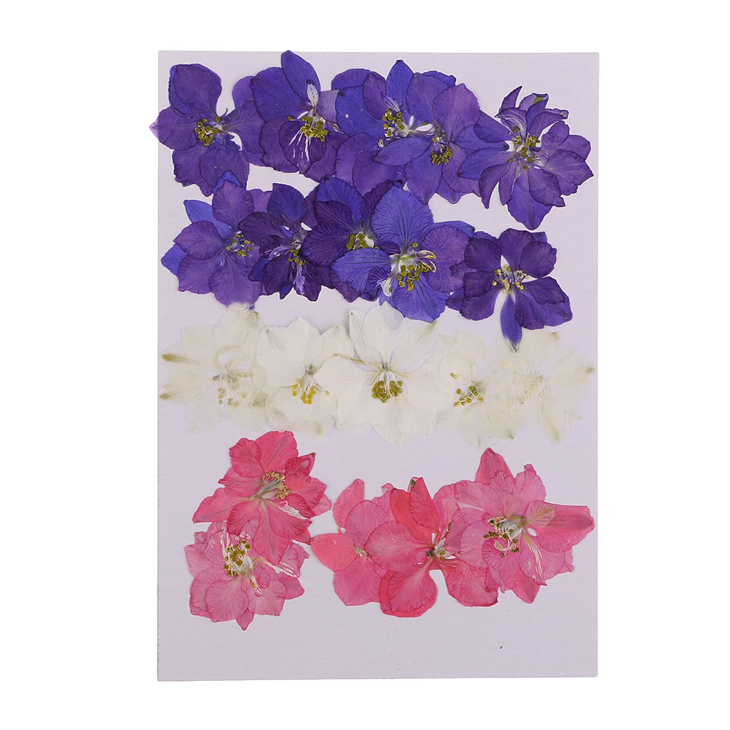 20 Pieces Pressed Flowers Real Delphinium Dried Flowers for Jewelry Making Crafts Candle Making DIY Resin Ornament Artificial