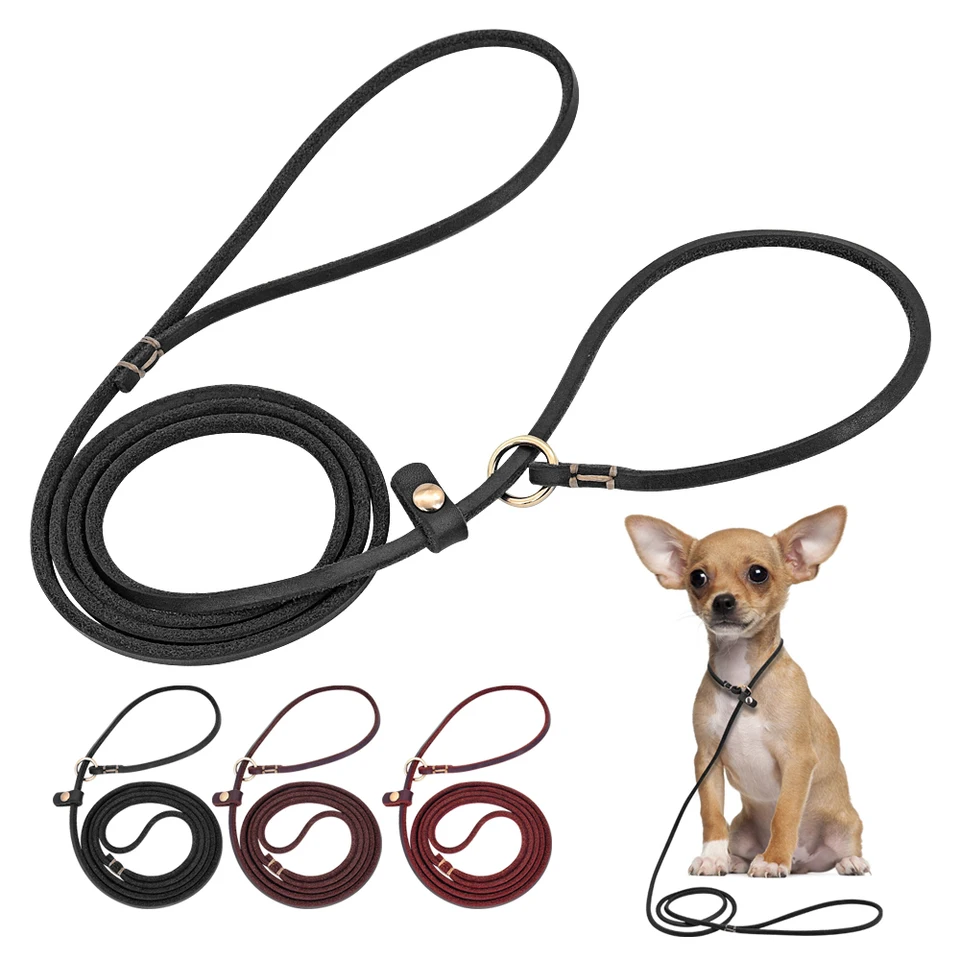 dog walking training collar