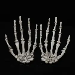 1 пара человека анатомические рук Bone медицинская модель скелета медицинские узнать помощи изображение Анатомия эскиз рука скелета с