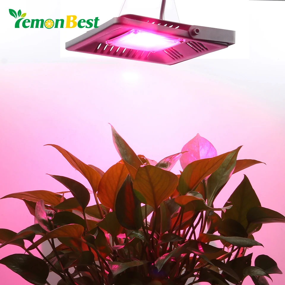 

50W COB Ultra-thin LED Plant Grow Light Full Spectrum 300-830nm Hydroponics Waterproof Dual-use Indoor Led for Plants Grow Tent