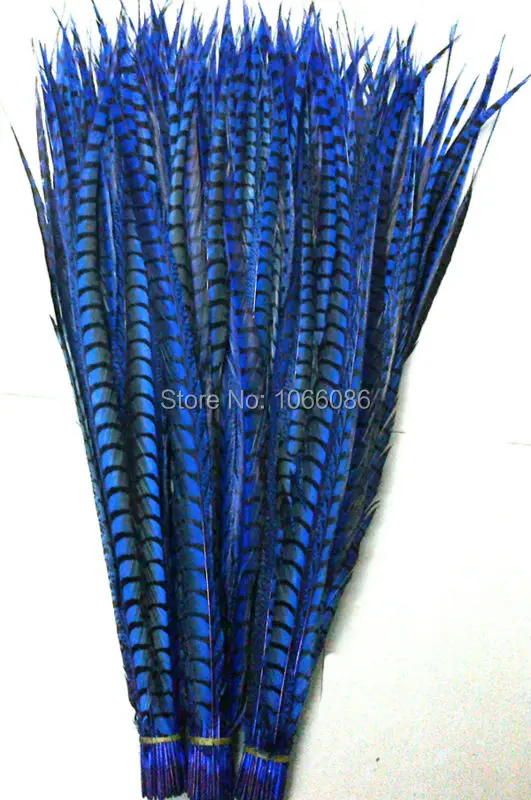 

EMS Free Shipping 80-90cm 30-35 inches 50pcs Roay Blue ringneck Lady Amherst pheasant tails pheasant feather