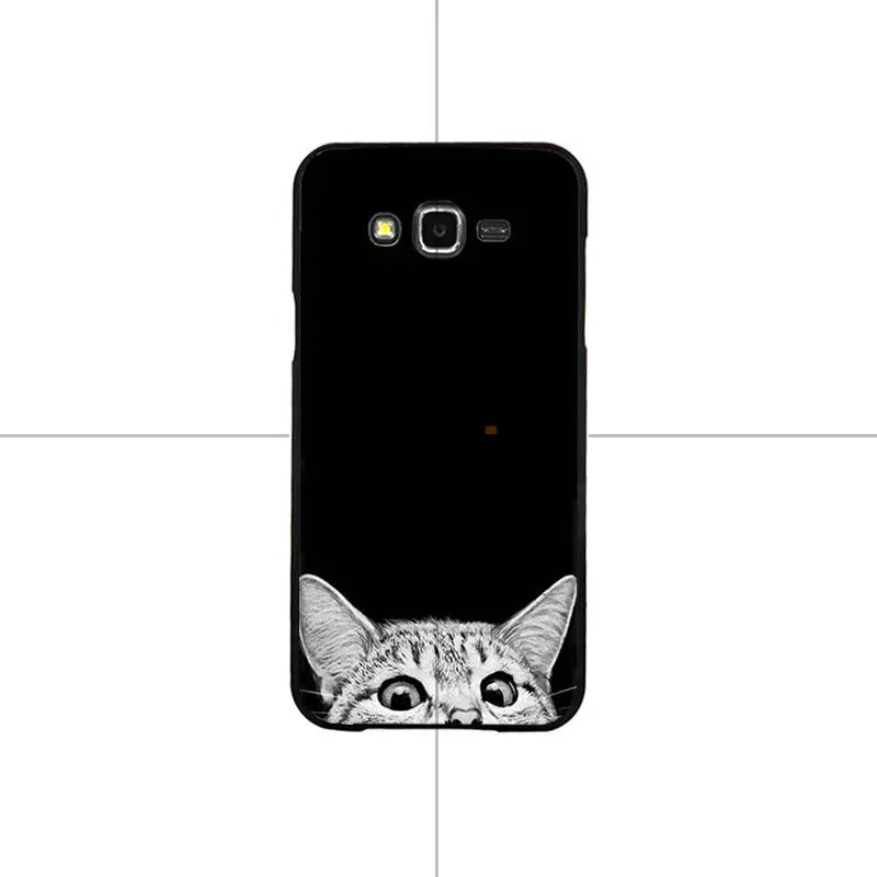 Cartoon Cat Cute Cats Dog