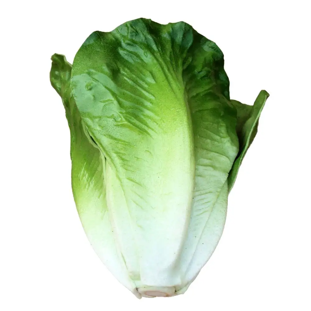 Vivid Artificial Lettuce Toy Imitation Food Home Store Display Decorin Artificial