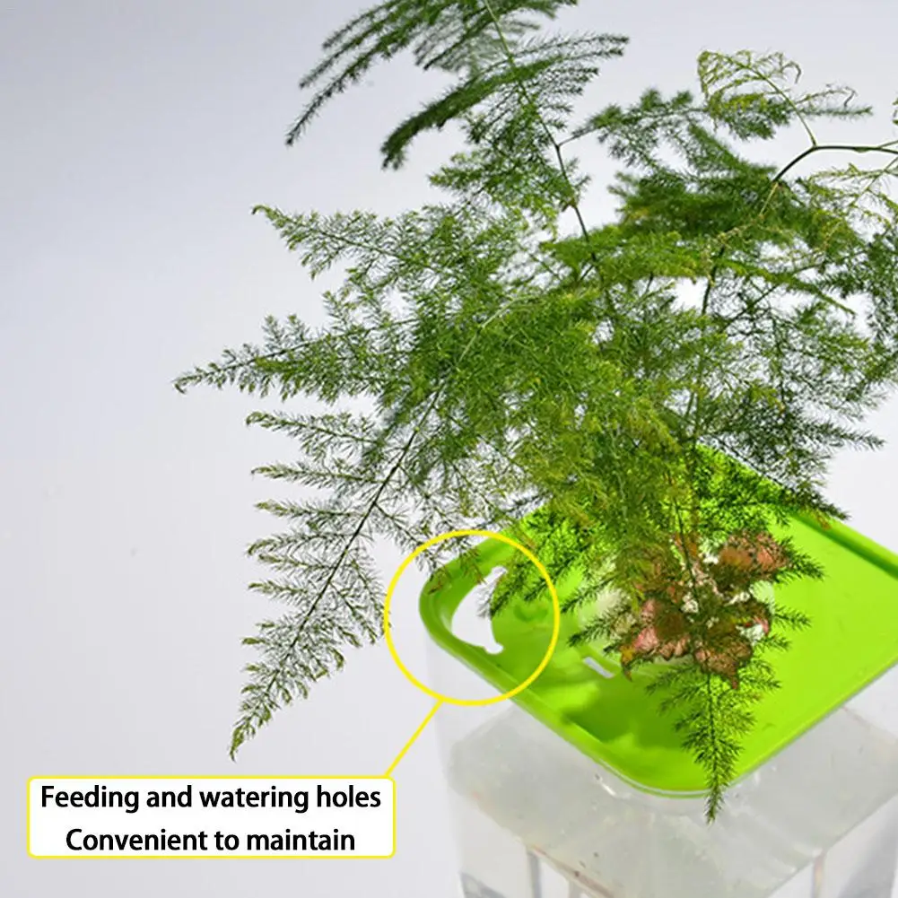 Аквариумное растение аквариум овощи Симбиотическая водная трава ультра-белая настольная экологическая пластиковая Удобная рыба выращивает растения