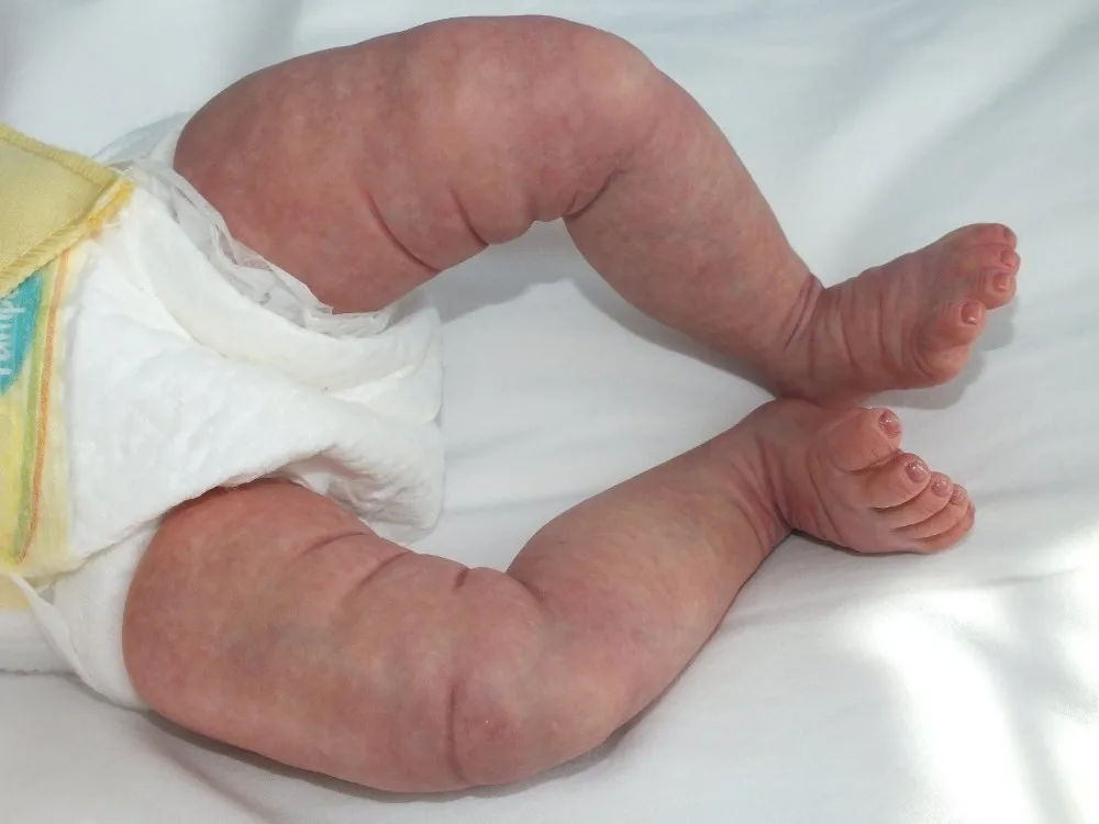 muñecos reborn auténticos