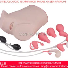 Гинекологический тренажер, Гинекологическая модель осмотра, гинекологический осмотр MODEL-GASEN-GPM0003