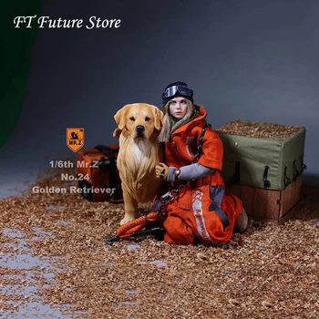 

Mr.Z 1/6 Scale Solider Figure Scene Accessories Golden Retriever Animal Dog Model Toy for 12'' Action Figure Collections