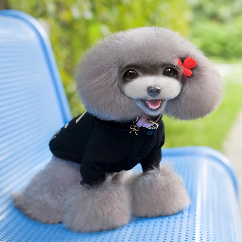 Hot Sales Fashion Spring Autumn Dog Clothes Pets Coats Puppy Wholesale and Professional Designer