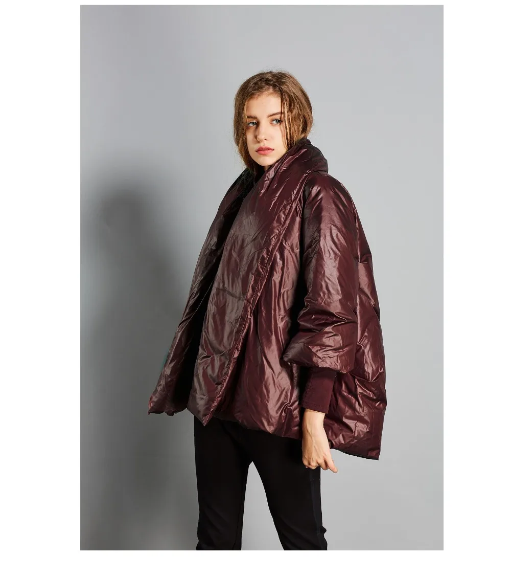 High-Quality-2018-Winter-New-Collection-Women-Hooded-Long-Down-Coat-Female-Winter-Warm-Thick-Down