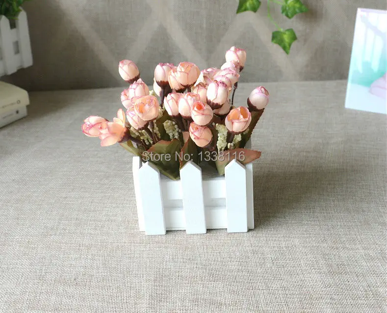10cm Peach
