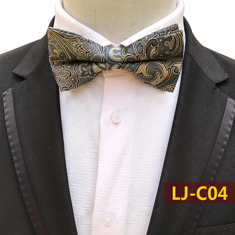 LJ-C04